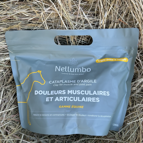 Cataplasme d’argile - Douleurs musculaires & articulaires