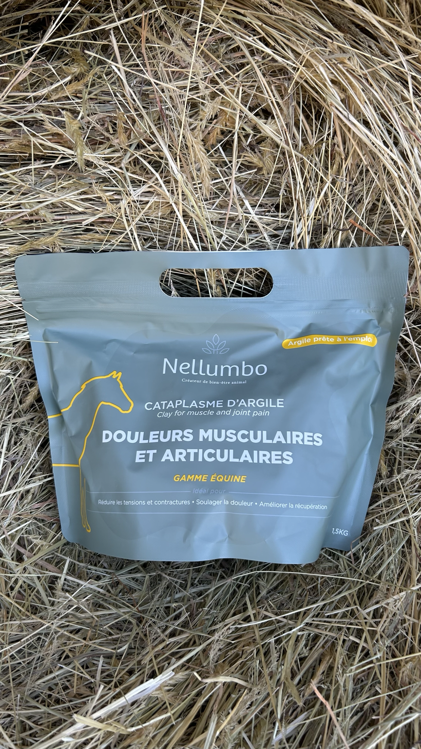 Cataplasme d’argile – Douleurs musculaires & articulaires