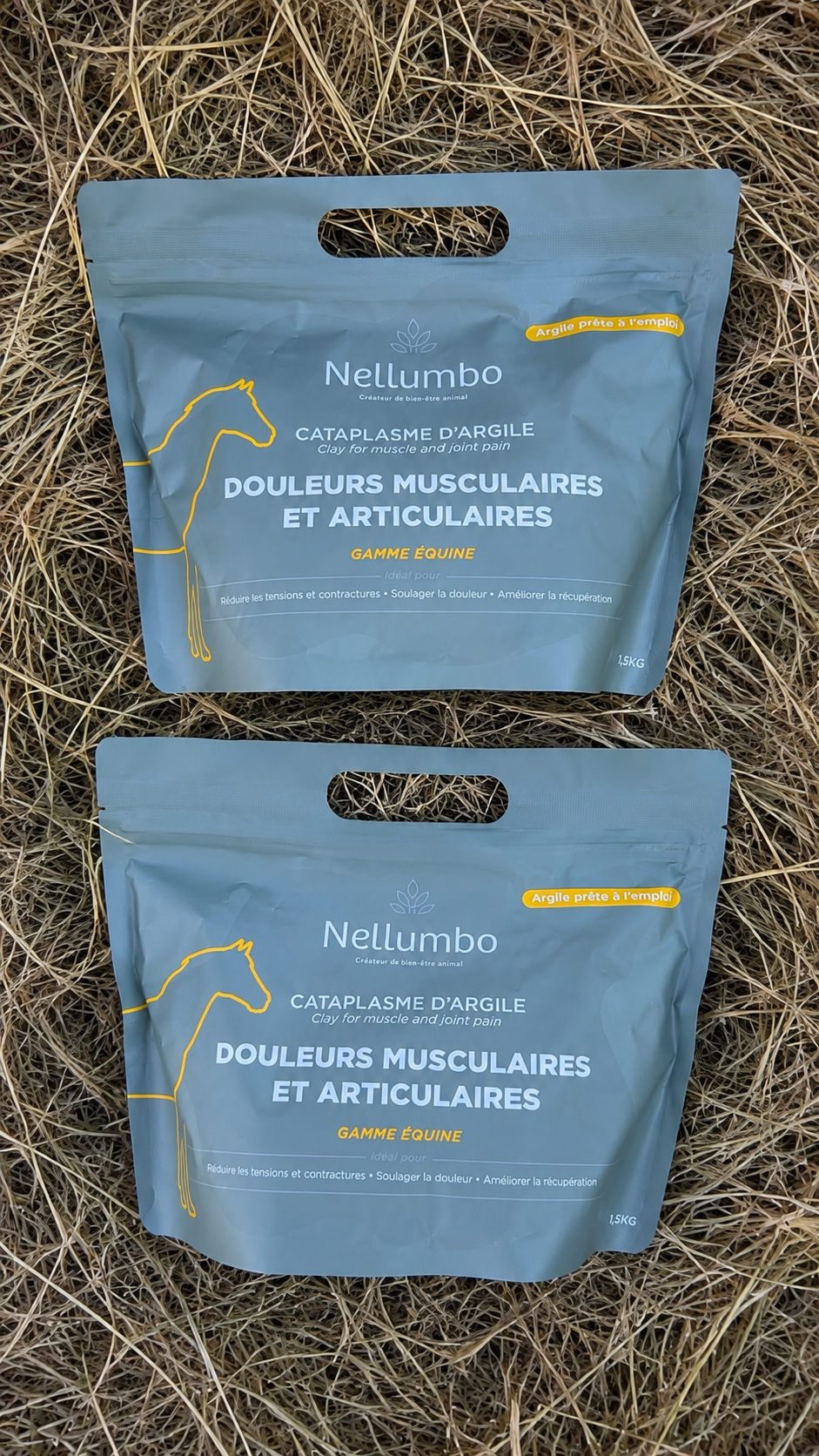 Cataplasme d’argile – Douleurs musculaires & articulaires