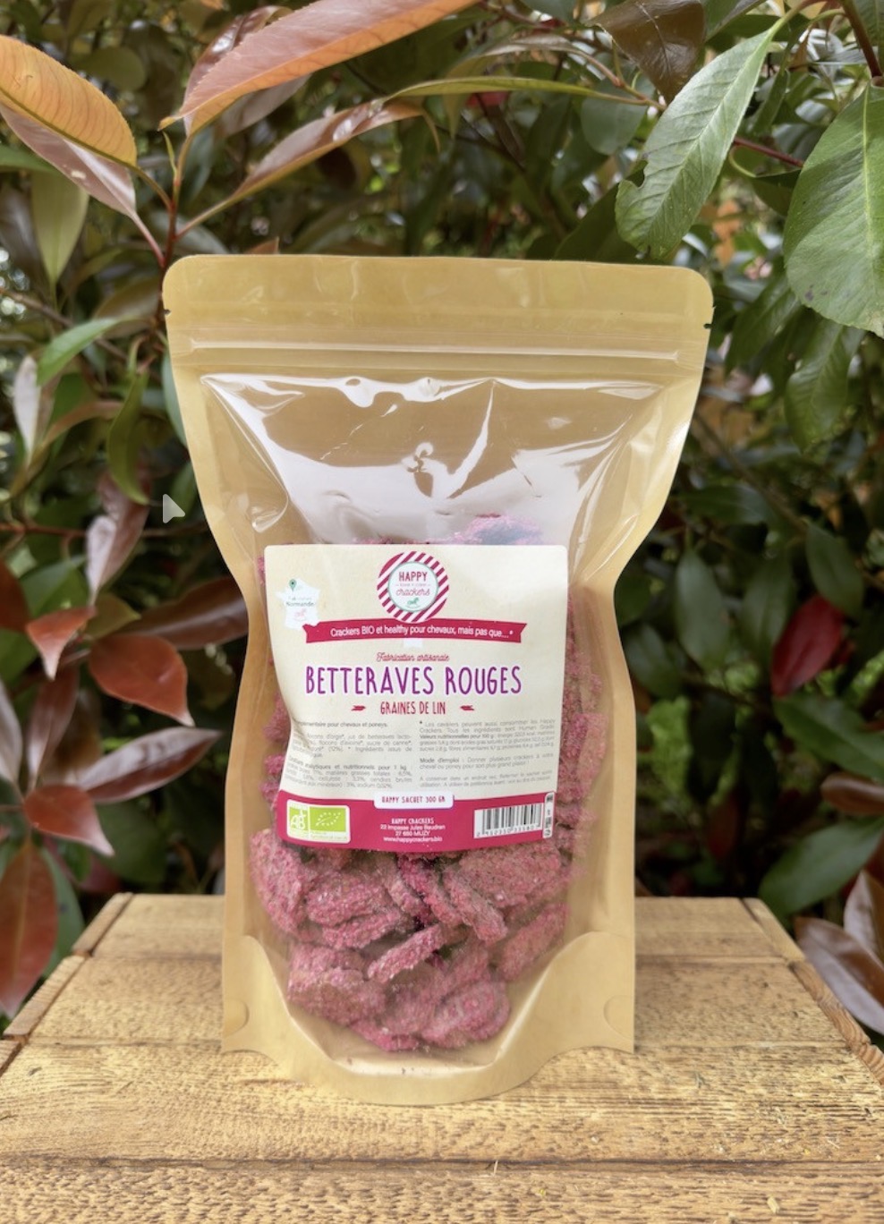 Crackers graines de lin et betteraves rouges