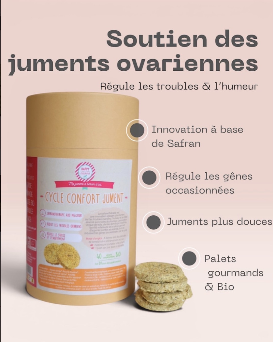Cycle confort jument
