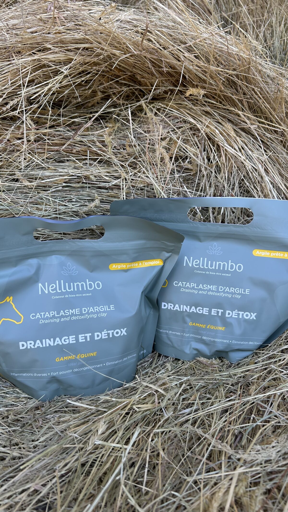 Cataplasme d’argile – Drainage & Détox