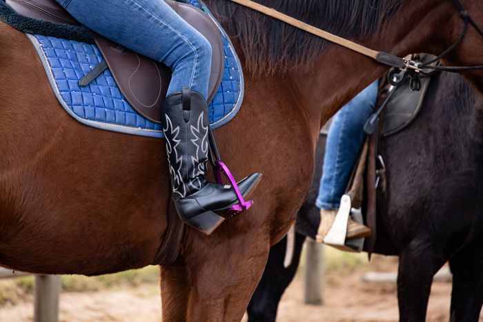 Cheval