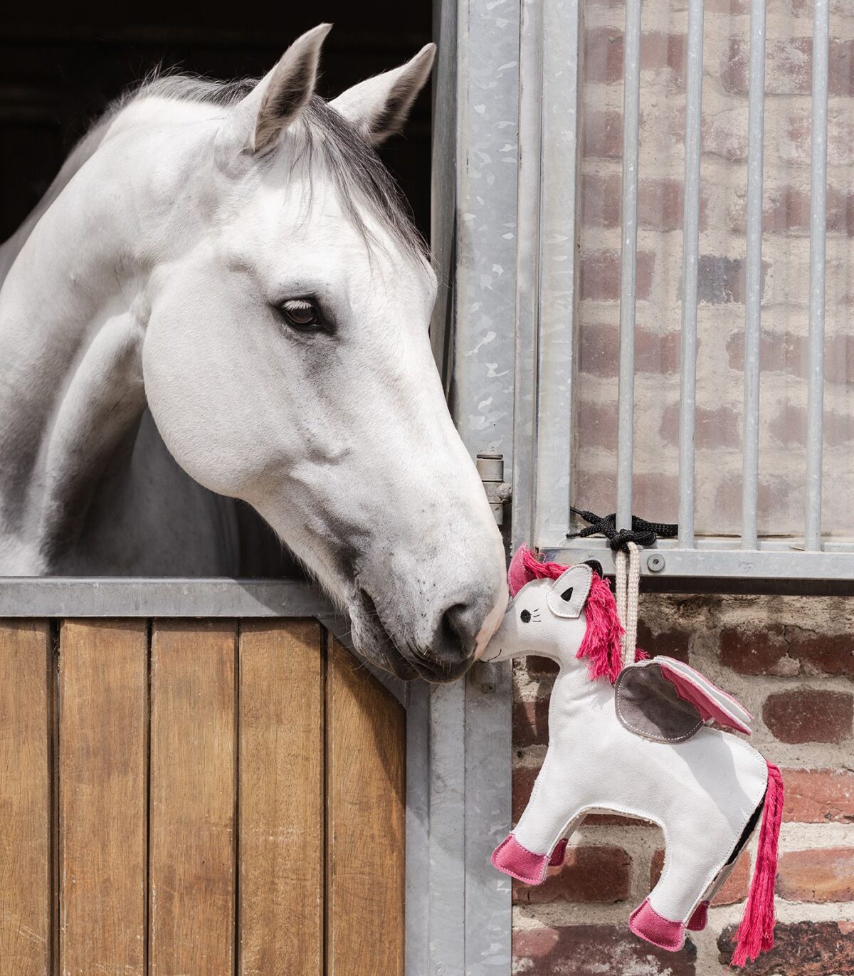Jouet pour cheval – Licorne