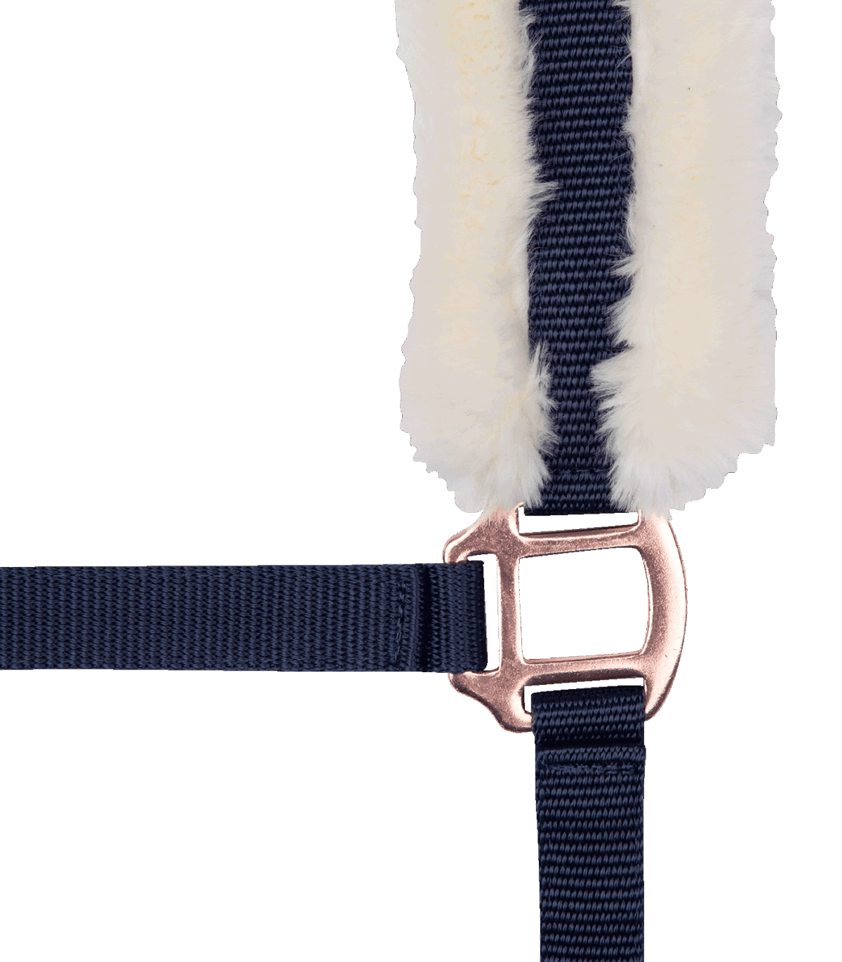 Licol Modern Rosé + longe