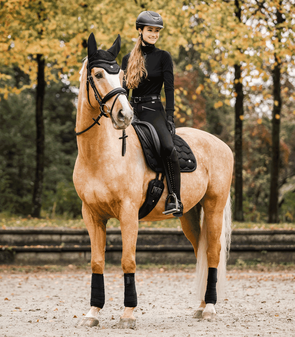 Bandes de polo polaires – Basic