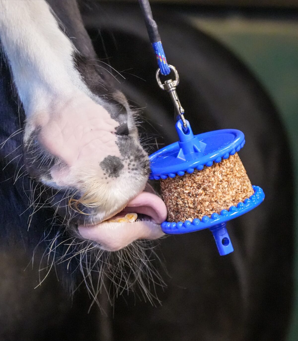 Likit – Granola sans sucres