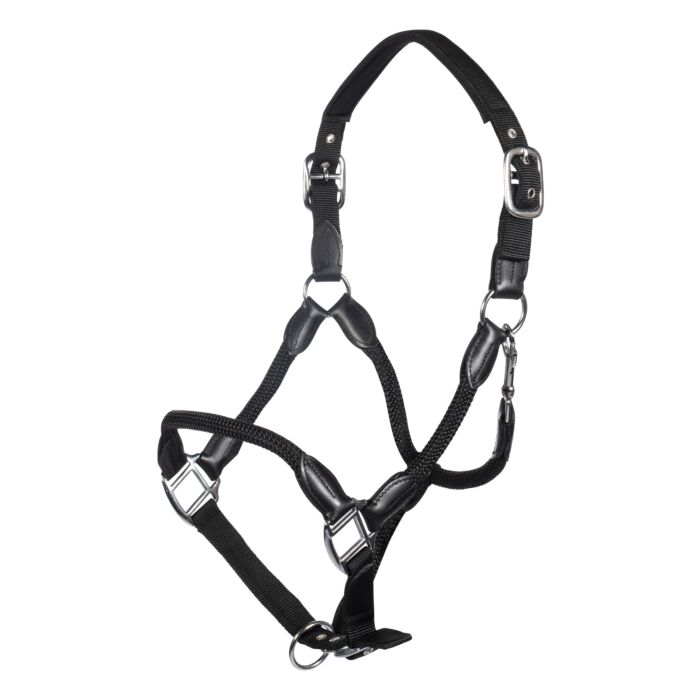 Licol + longe – Carlotta HKM