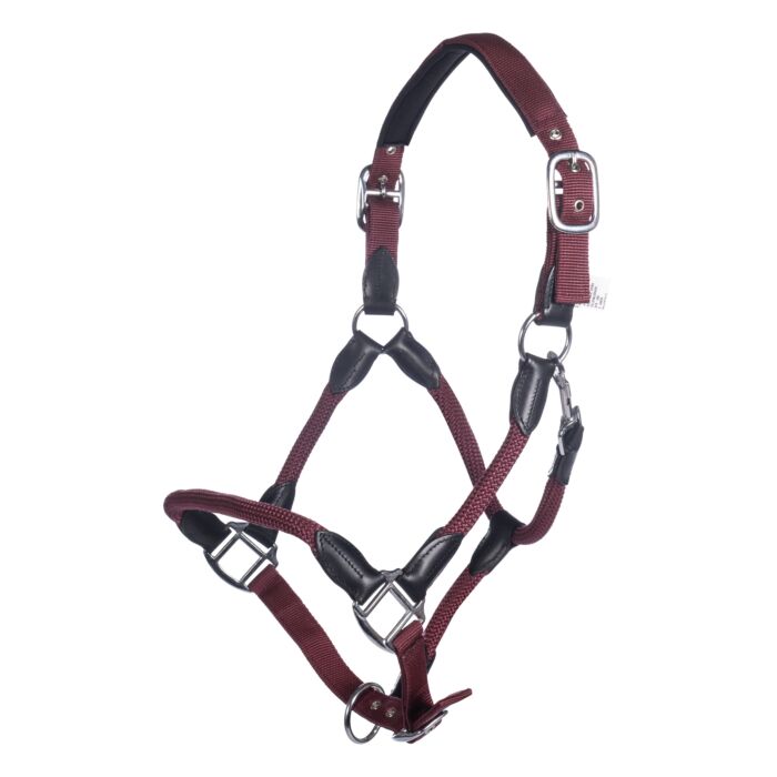 Licol + longe – Carlotta HKM