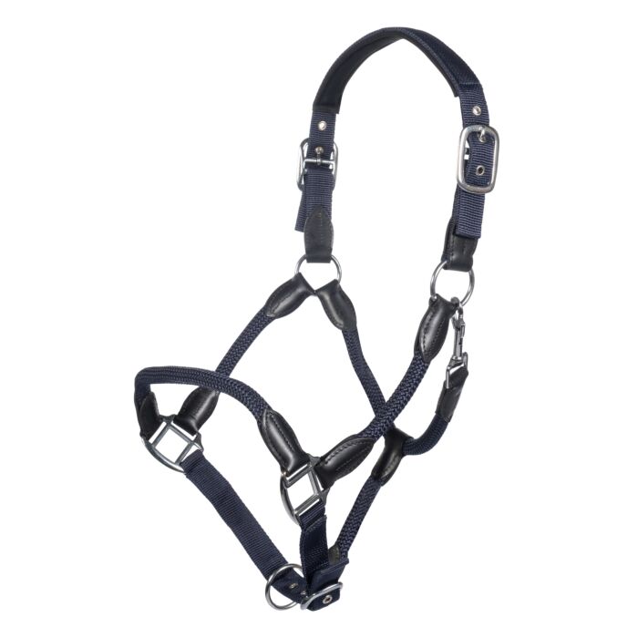 Licol + longe – Carlotta HKM
