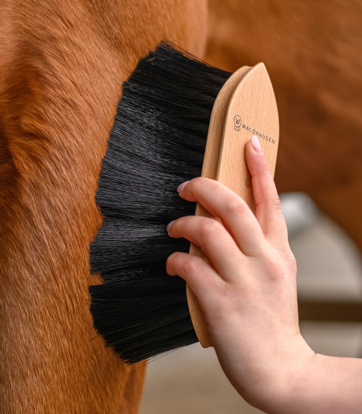 Brosse souple – Exclusive Line