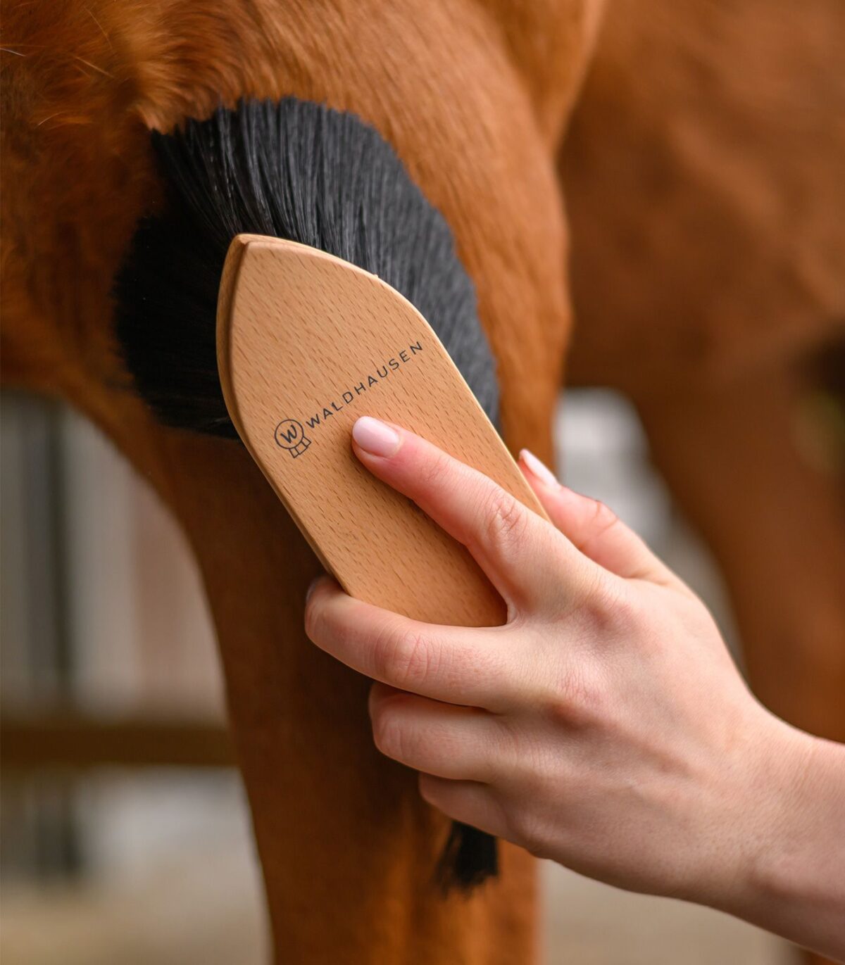 Brosse souple – Exclusive Line