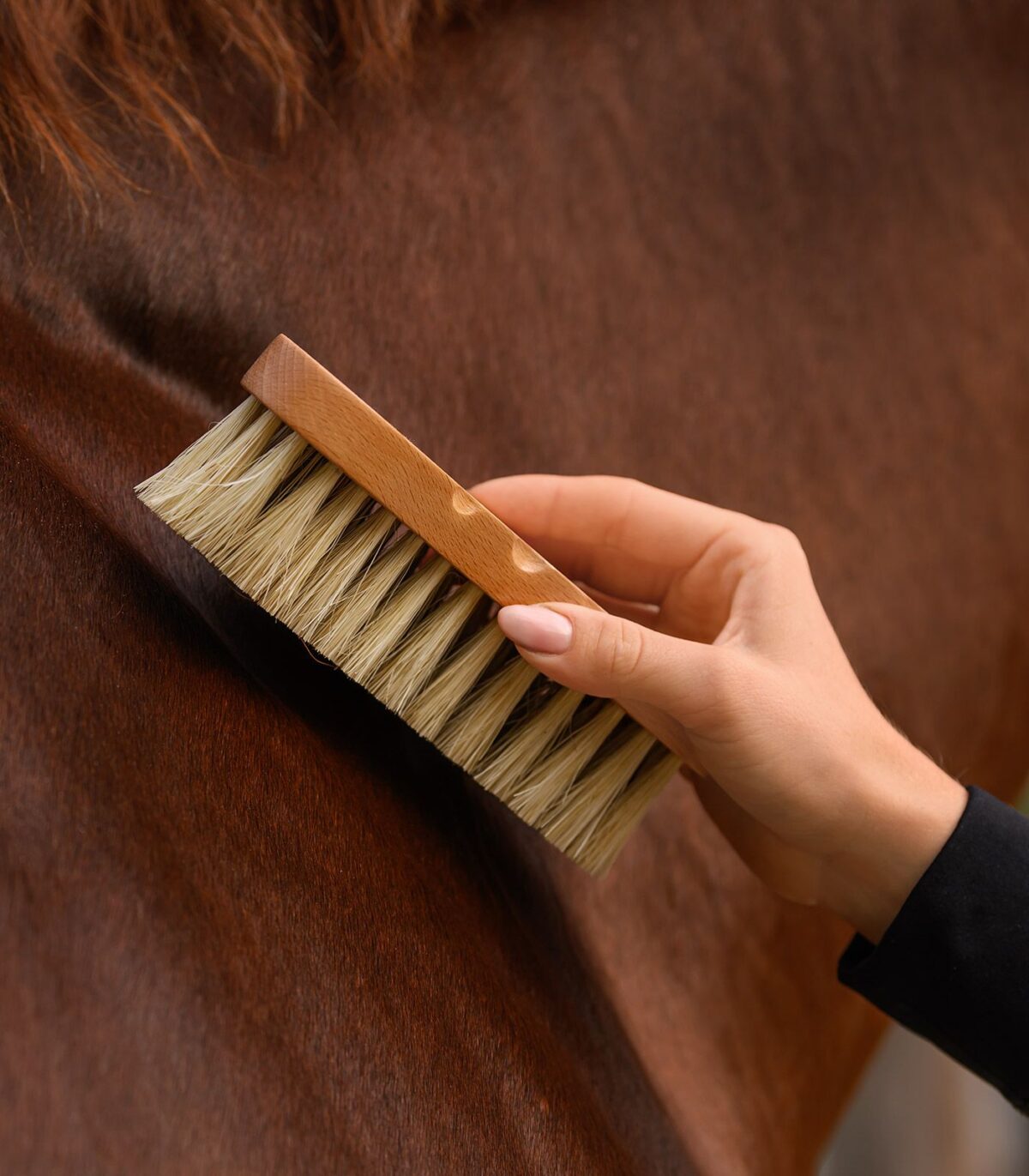 Brosse dure – Exclusive Line