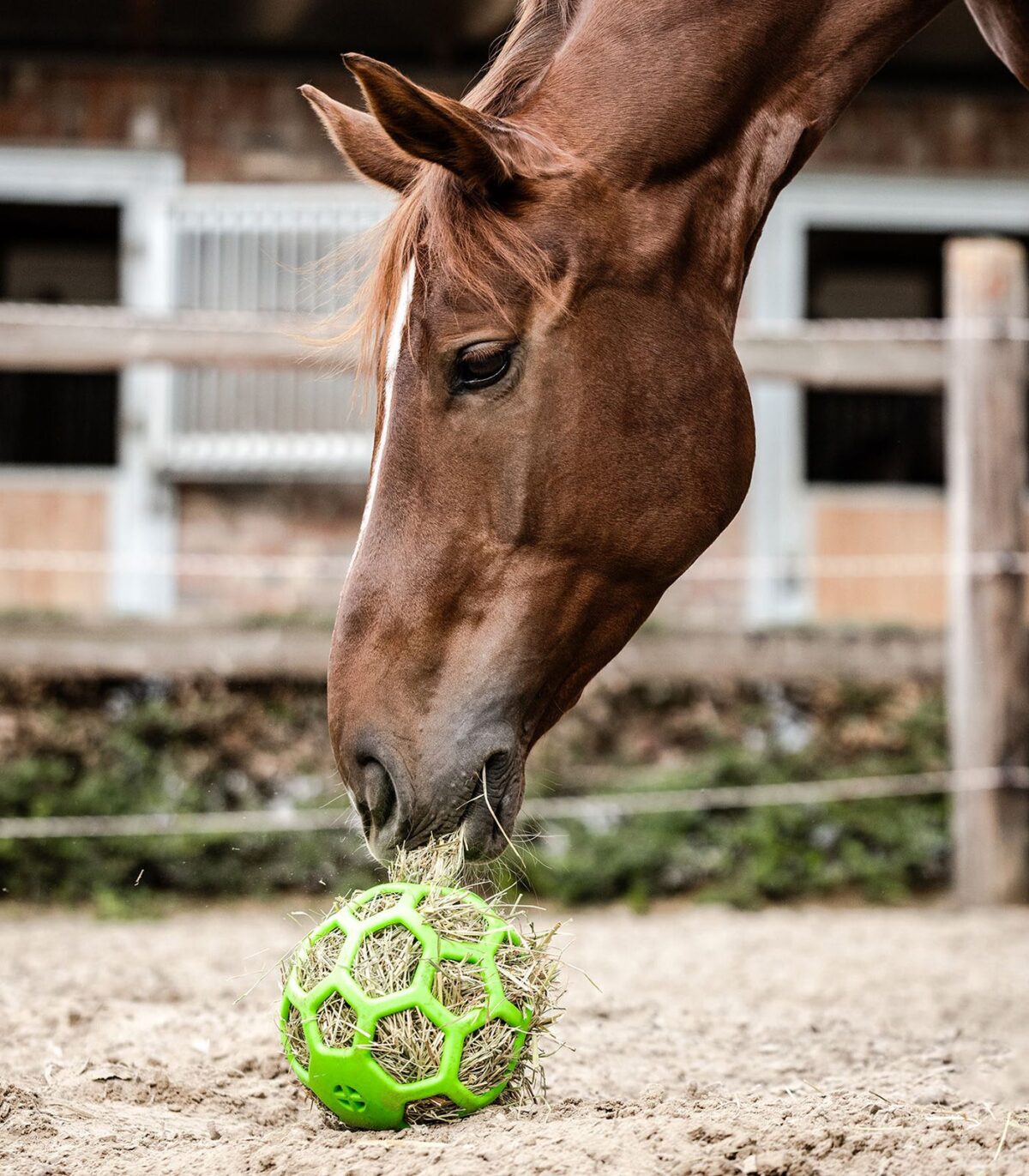 Boule à foin