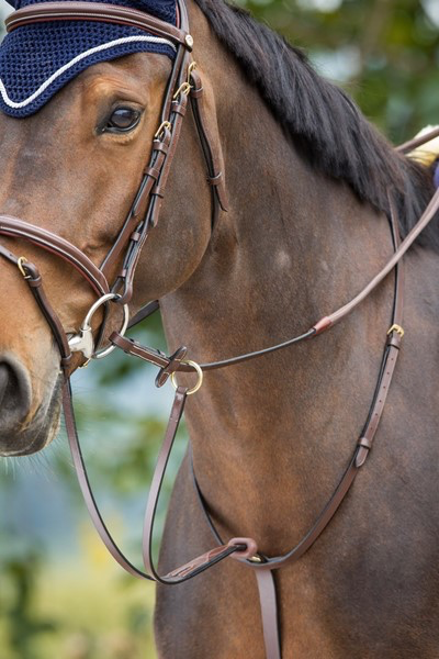 Martingale à anneaux