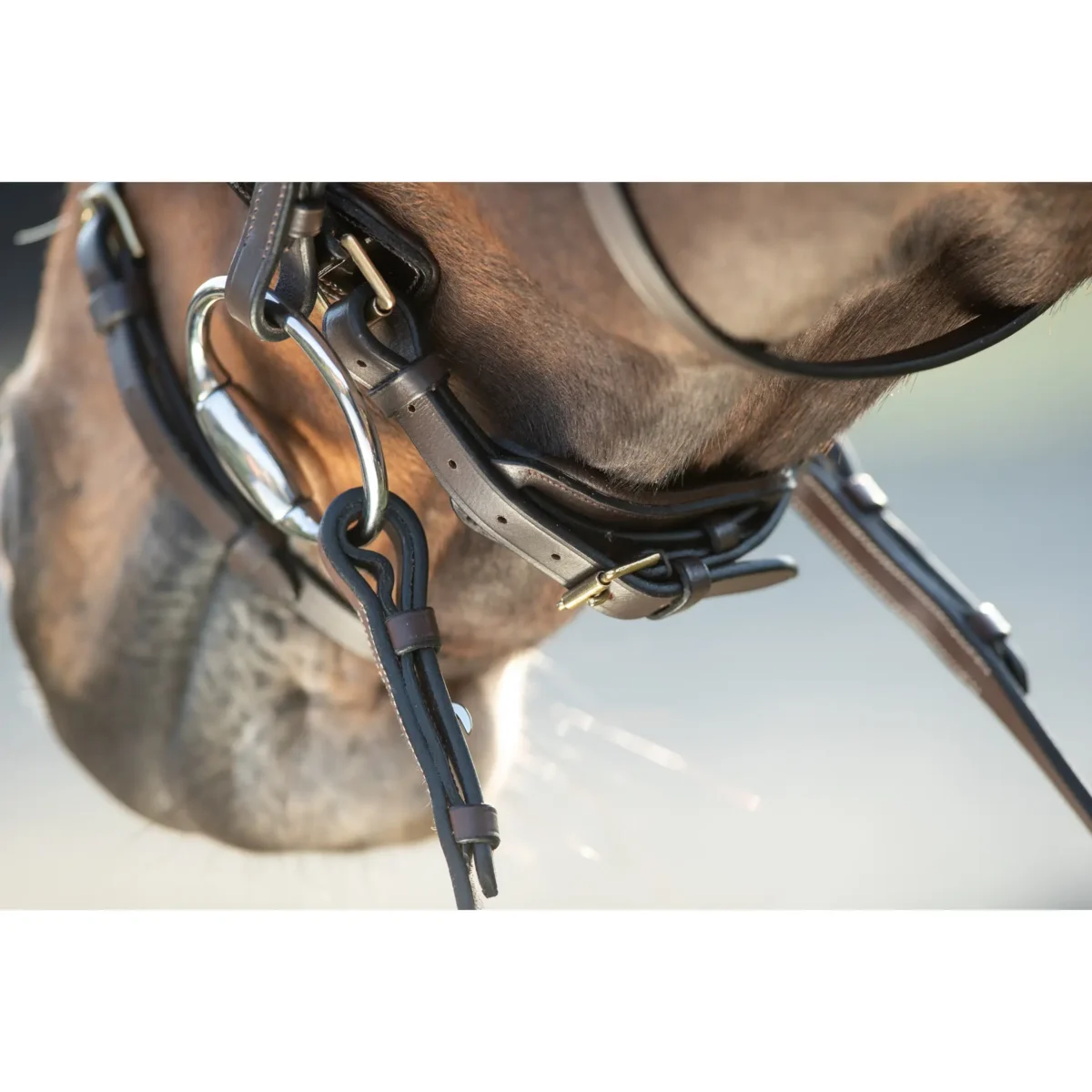 Bridon Shiny HFI – détail ornements brillants briderie cheval