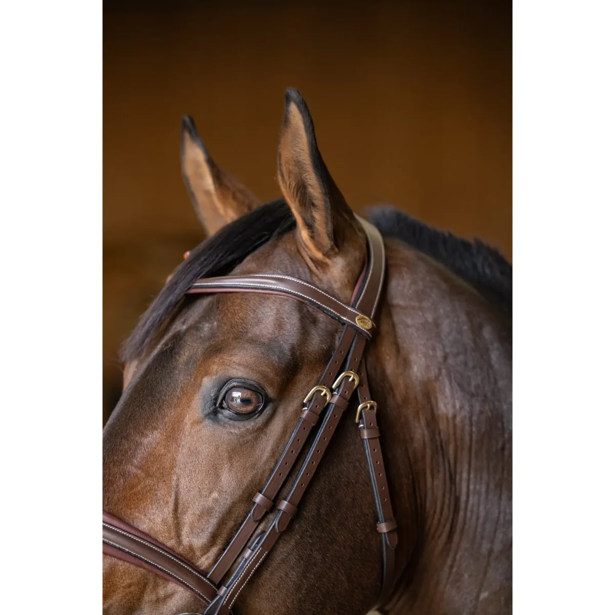 Bridon Padded HFI – détail têtière rembourrée cheval
