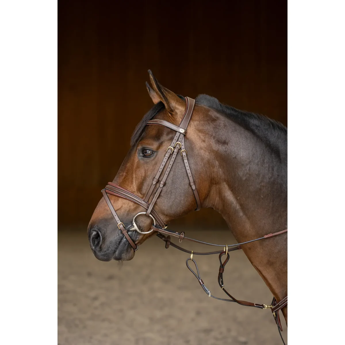 Bridon Padded HFI – vue ensemble briderie cheval