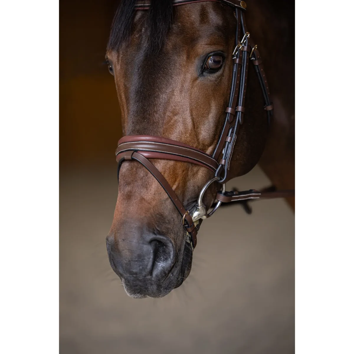 Bridon Padded HFI – équipement briderie cheval équitation