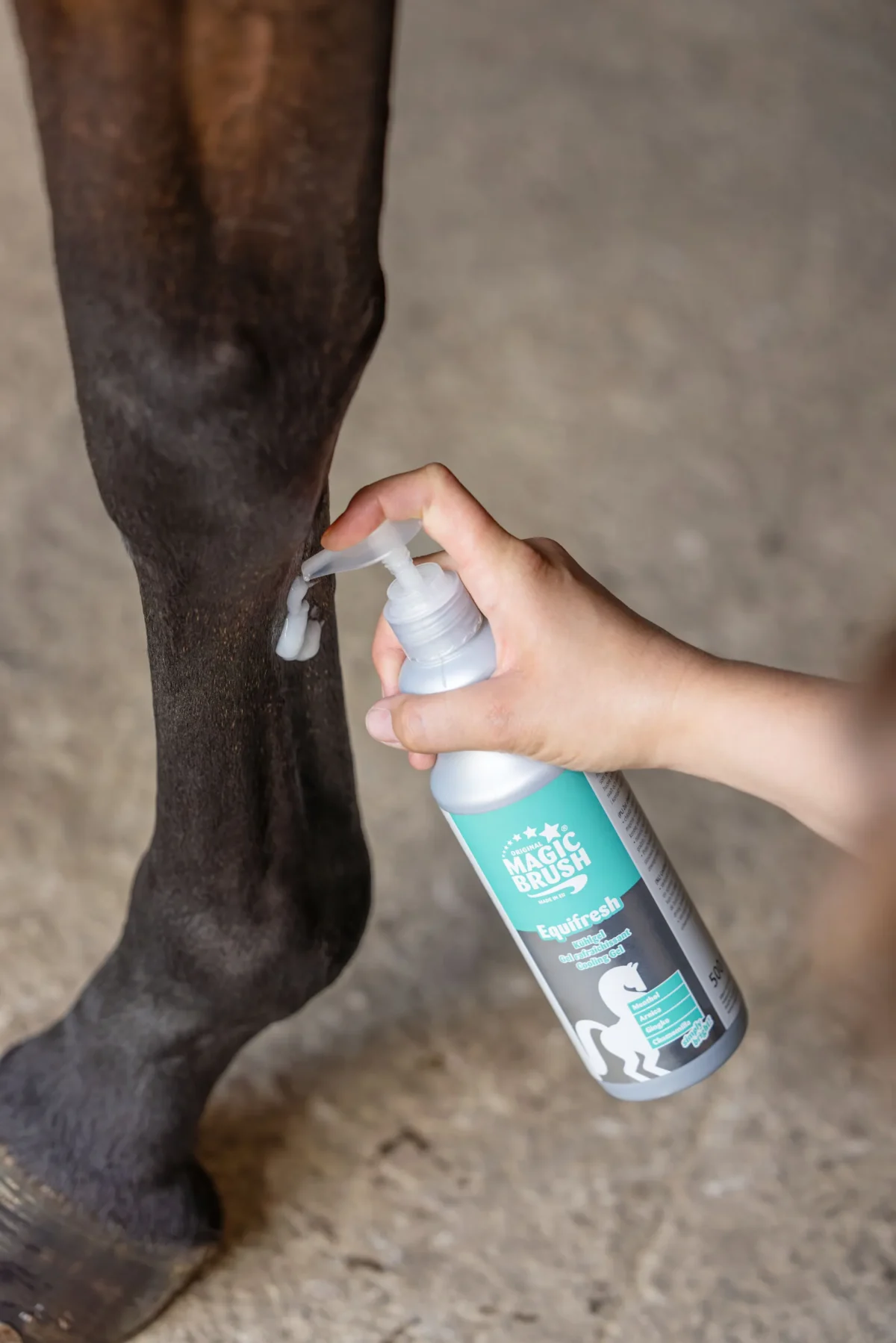 Magic Brush – Equifresh