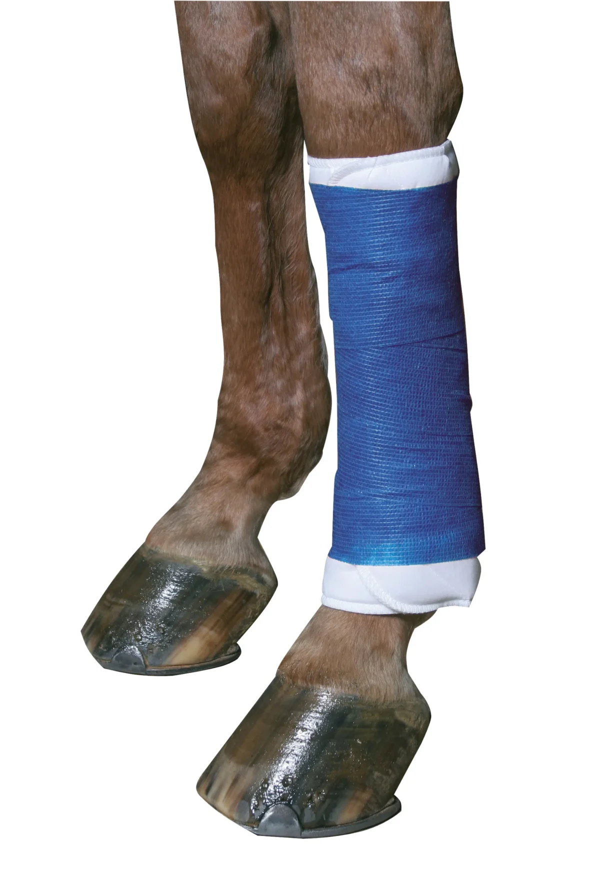 Bandage auto adhésif – Equilastic