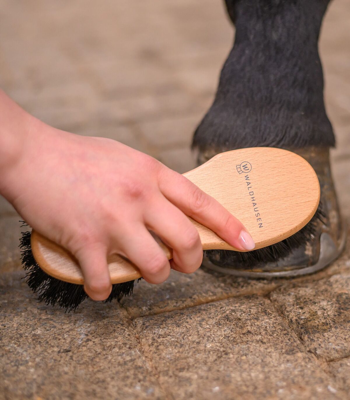 Brosse à sabot – Exclusive Line