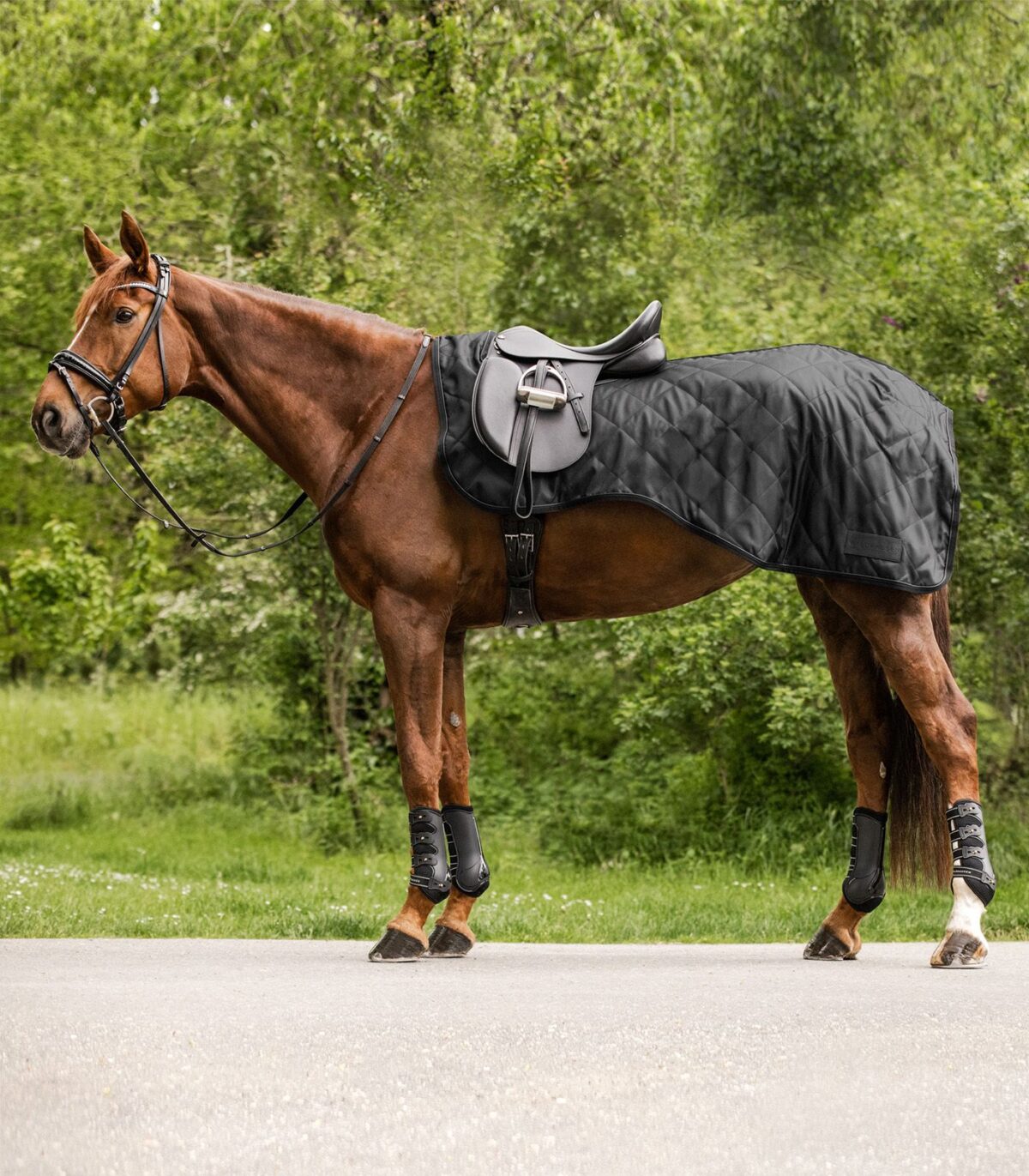 Couvre-reins EXCLUSIVE 50g