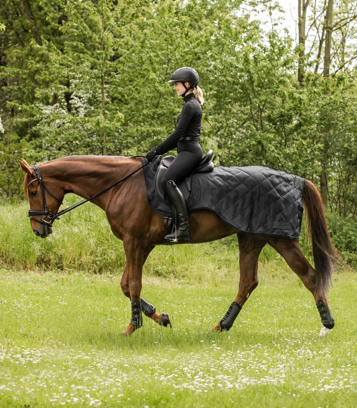Couvre-reins EXCLUSIVE 50g