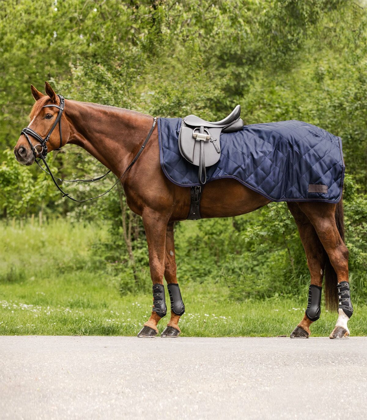 Couvre-reins EXCLUSIVE 50g
