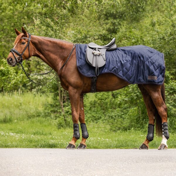 Couvre-reins EXCLUSIVE 50g