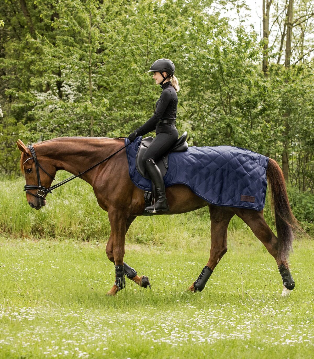 Couvre-reins EXCLUSIVE 50g
